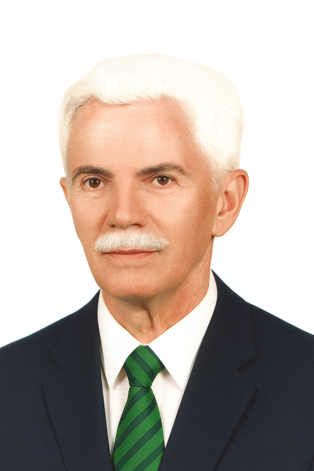 Retrato de João Gonçalves